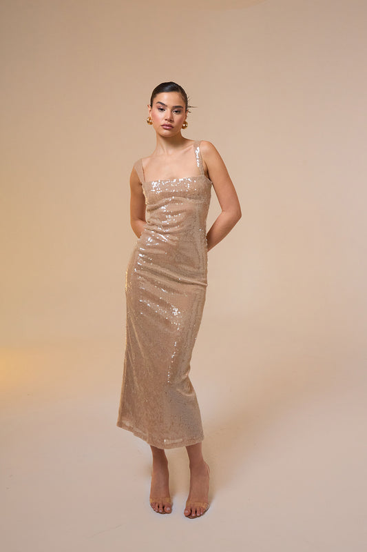 Celina Sequined Midi Dress