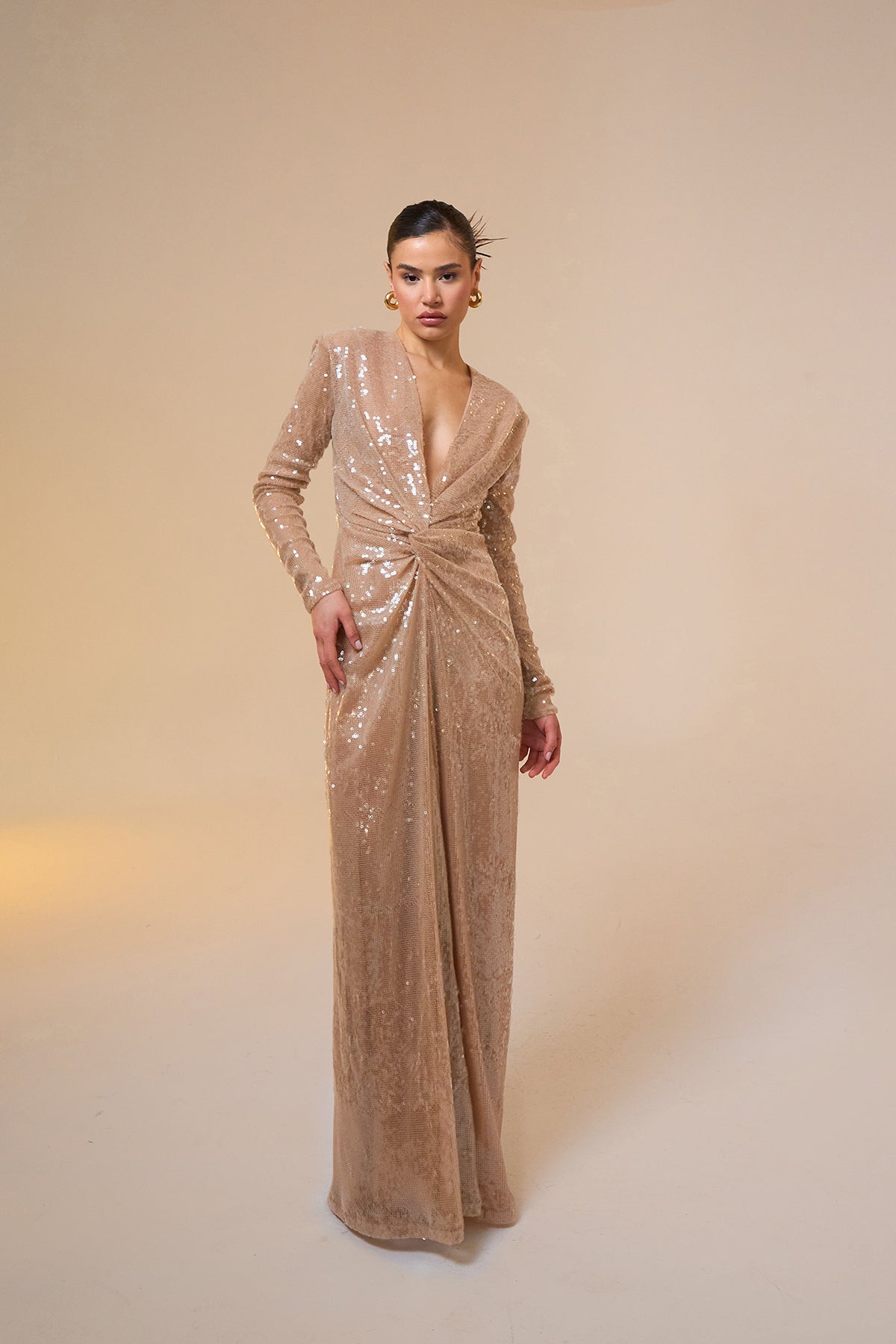 Jana Long Sleeve Maxi Sequined Dress