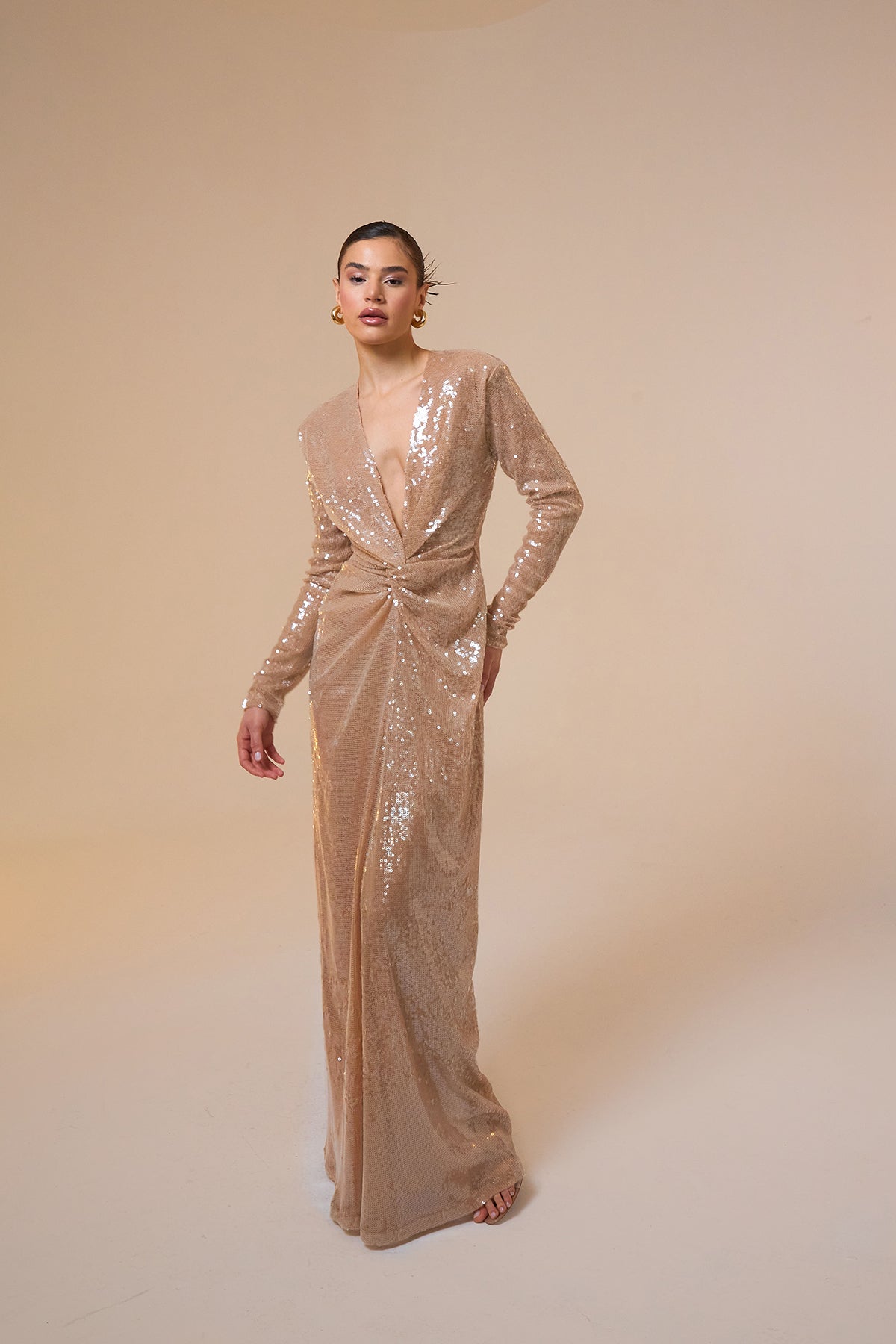 Jana Long Sleeve Maxi Sequined Dress